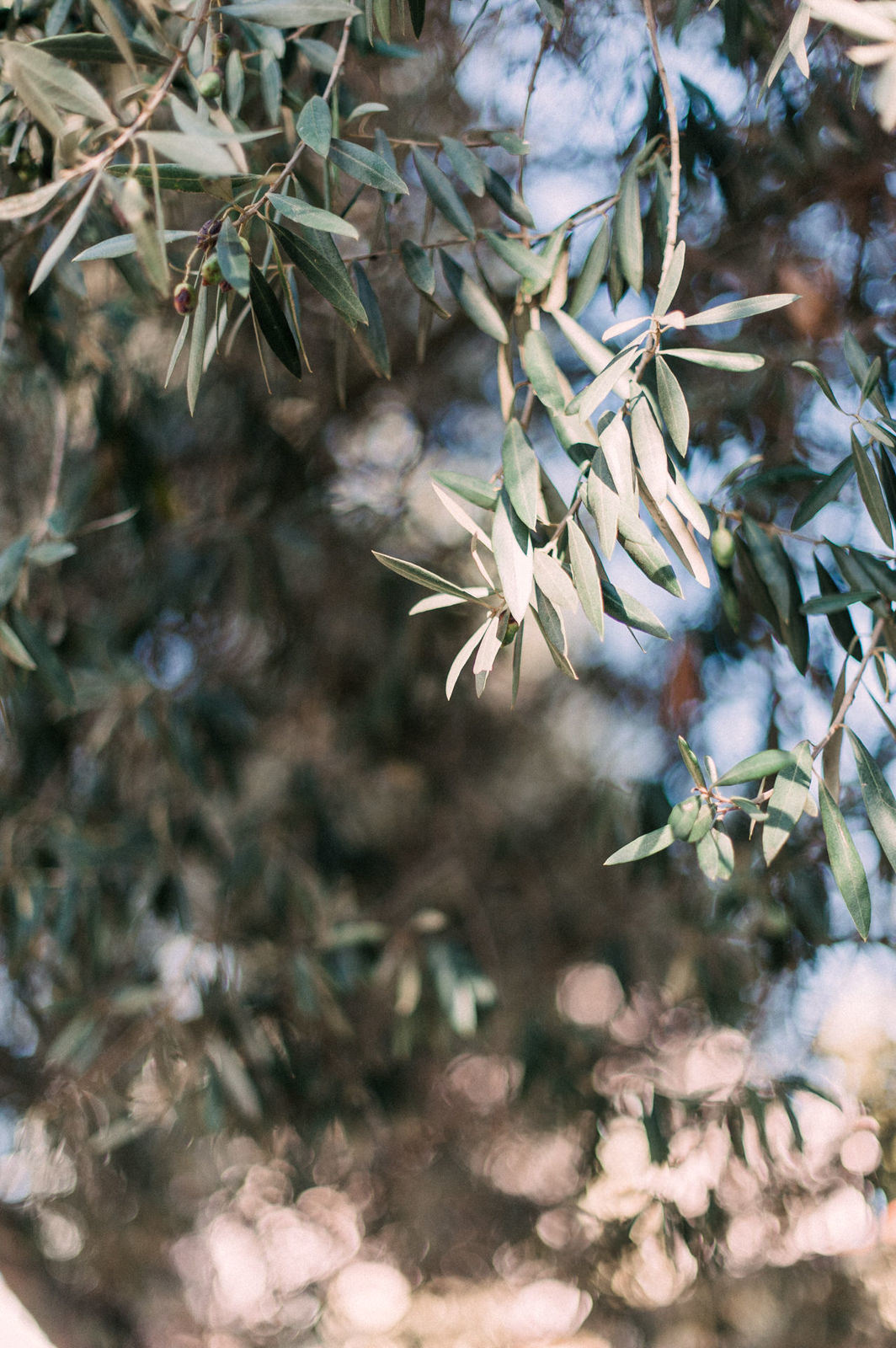 Foto Fomos a Portugal! - Nossa Viagem! - Imagem 117