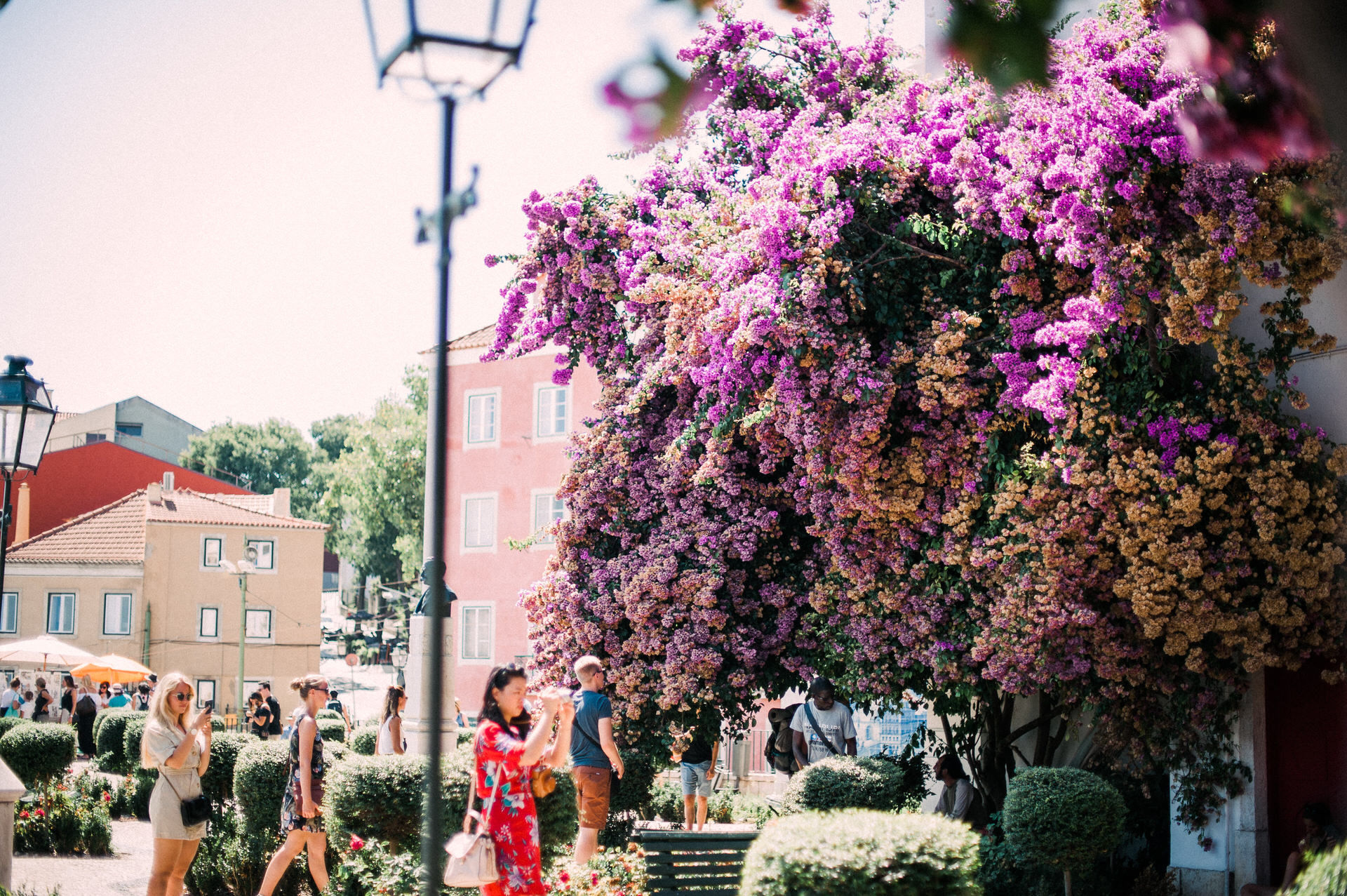 Foto Fomos a Portugal! - Nossa Viagem! - Imagem 110
