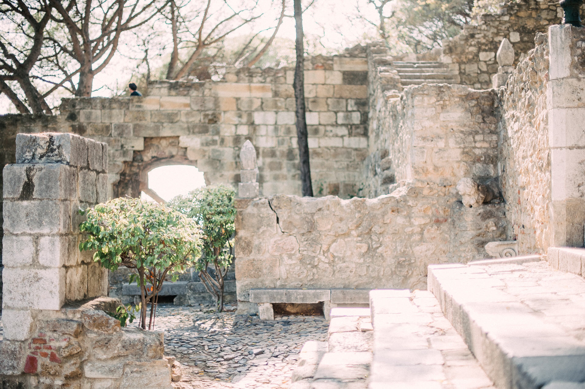 Foto Fomos a Portugal! - Nossa Viagem! - Imagem 126