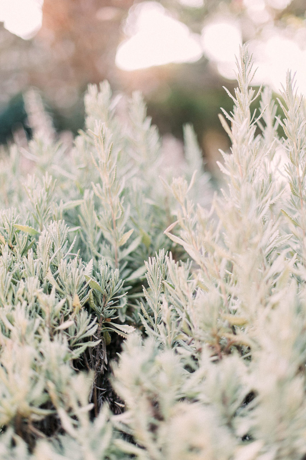 Foto Fomos a Portugal! - Nossa Viagem! - Imagem 118