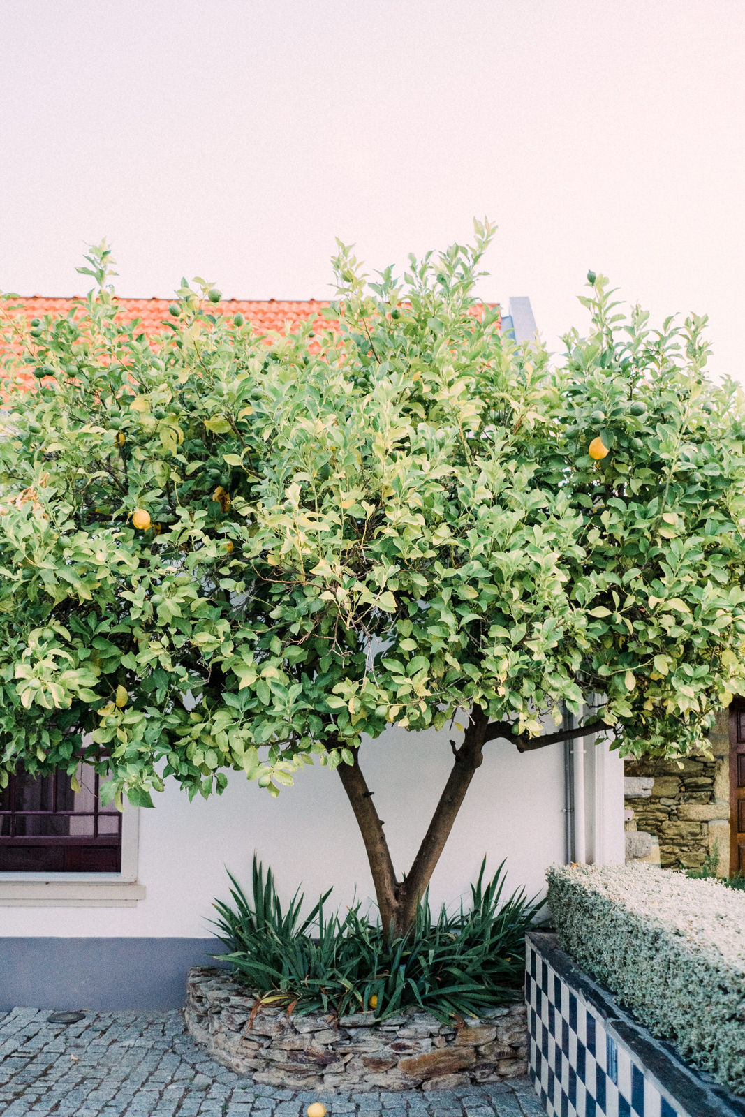 Foto Fomos a Portugal! - Nossa Viagem! - Imagem 172