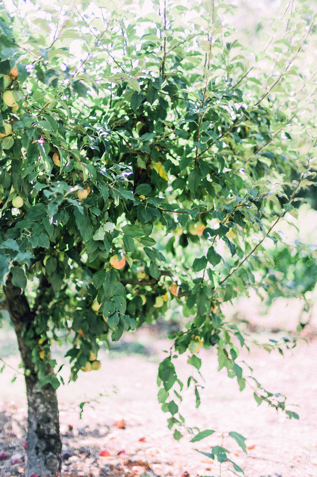 Foto Fomos para Portugal! - Imagem 74