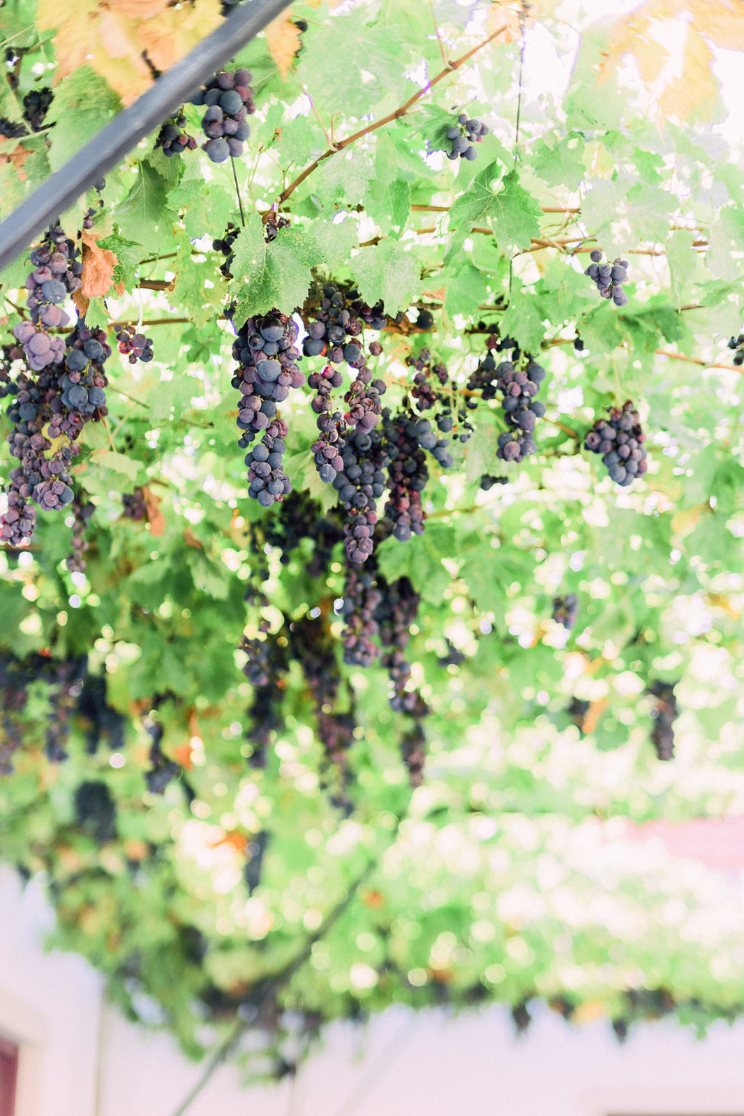 Foto Fomos para Portugal! - Imagem 92