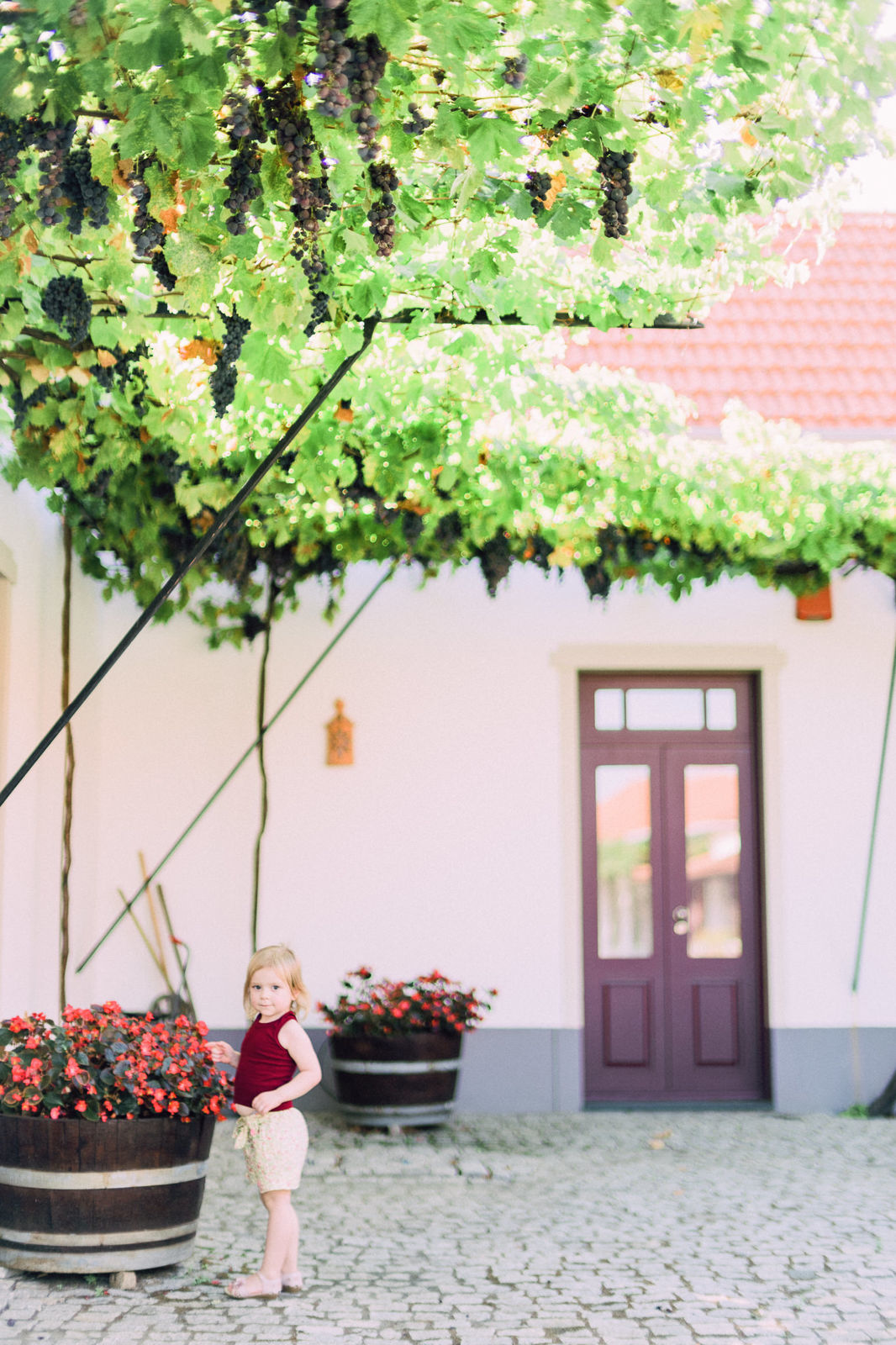 Foto Fomos para Portugal! - Imagem 91