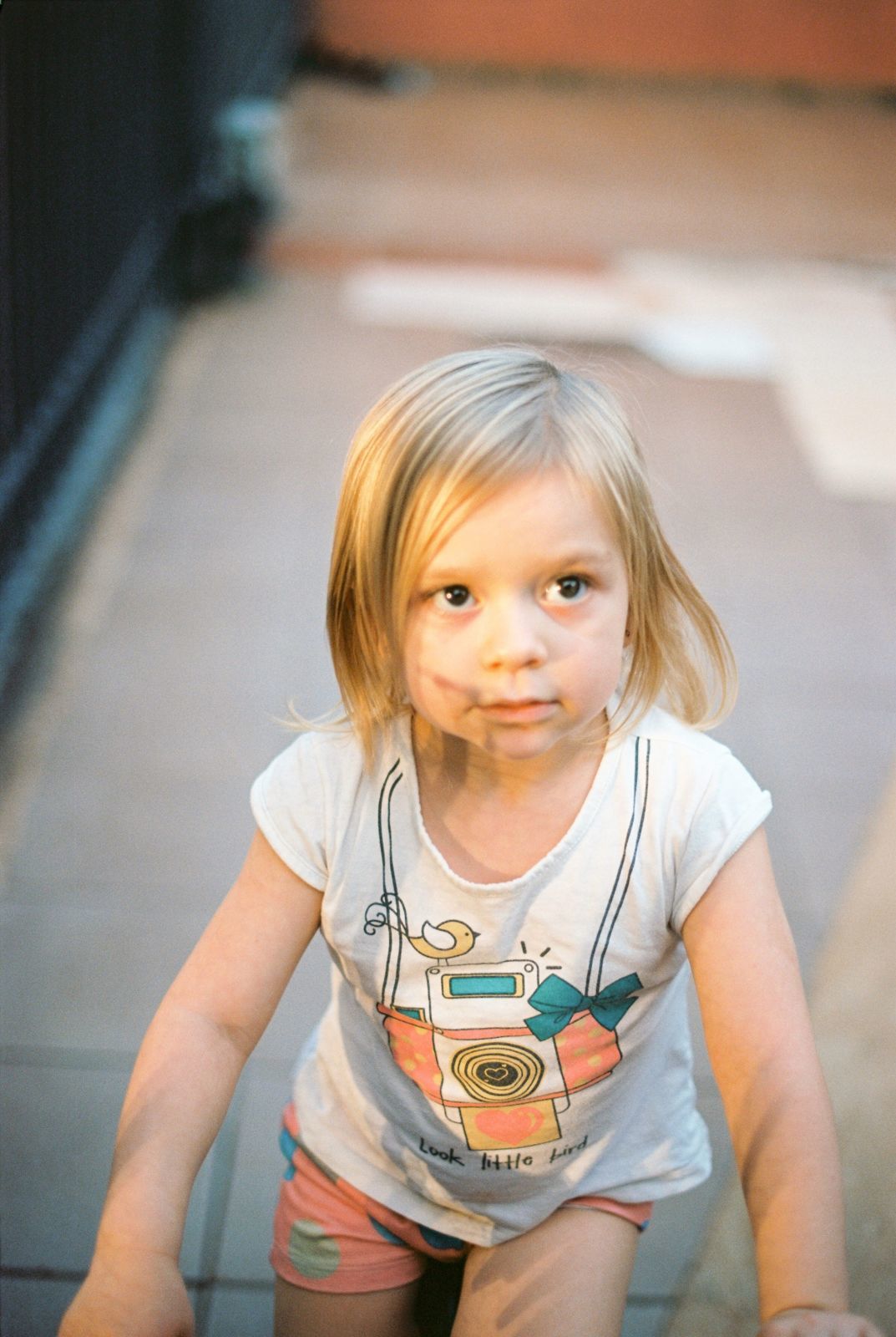 Foto Analogias da quarentena - Imagem 22