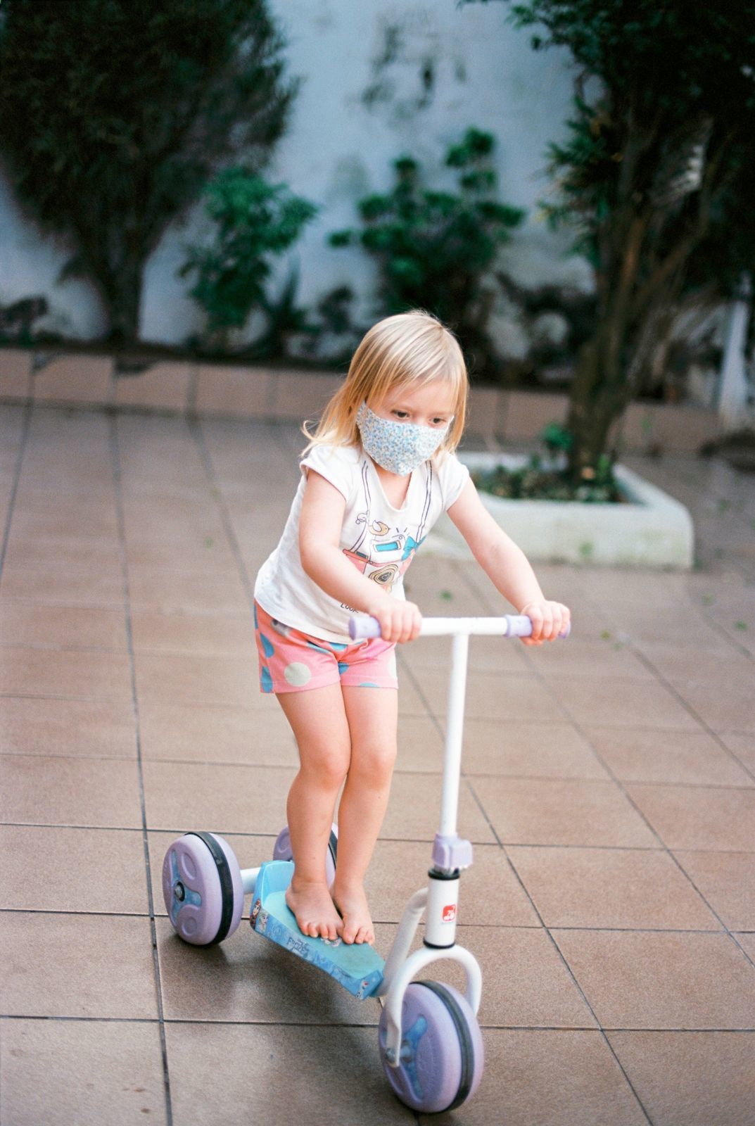 Foto Analogias da quarentena - Imagem 19