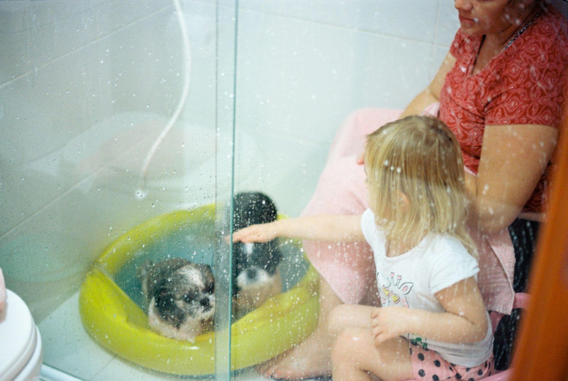 Foto Analogias da quarentena - Imagem 17