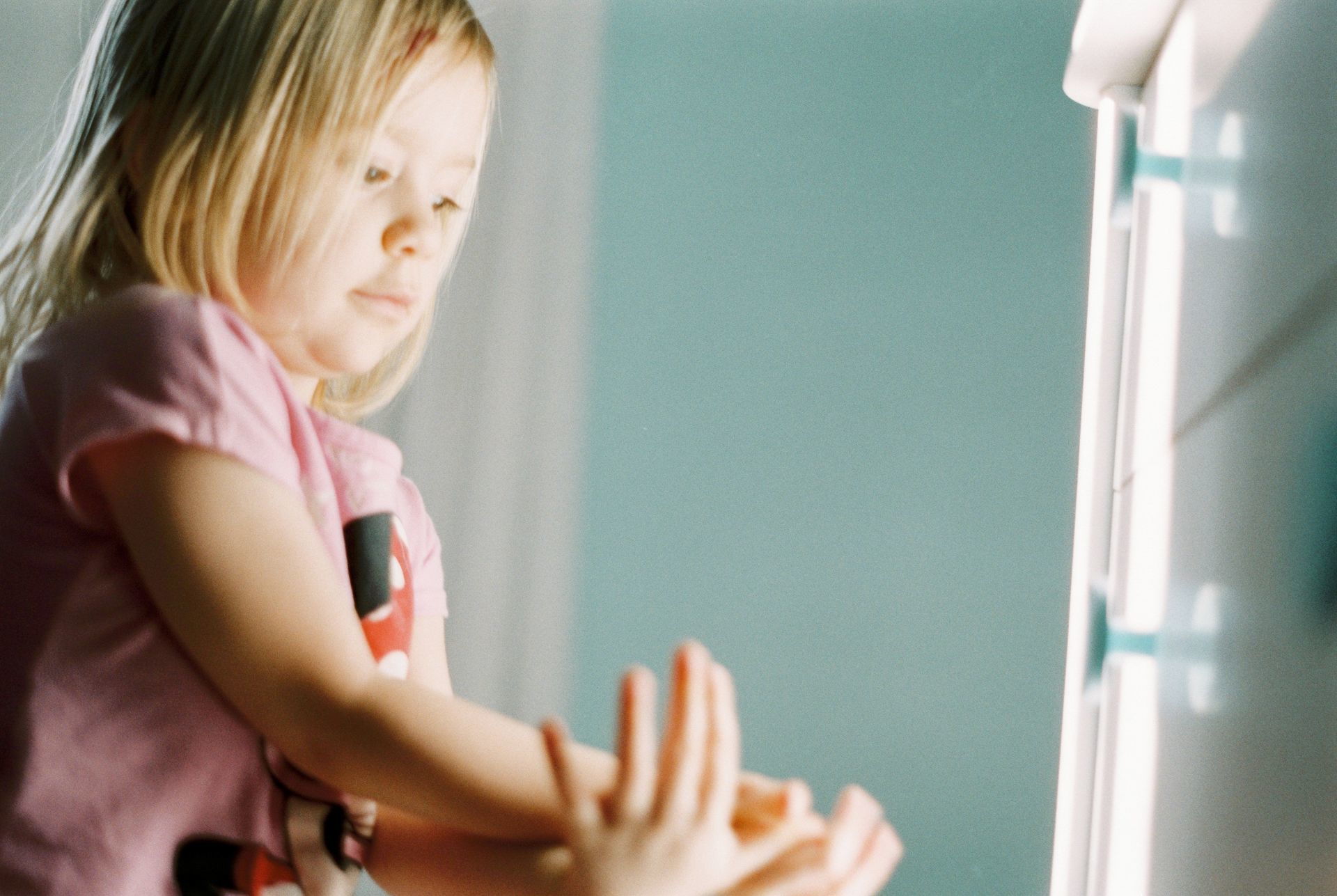 Foto Analogias da quarentena - Imagem 4