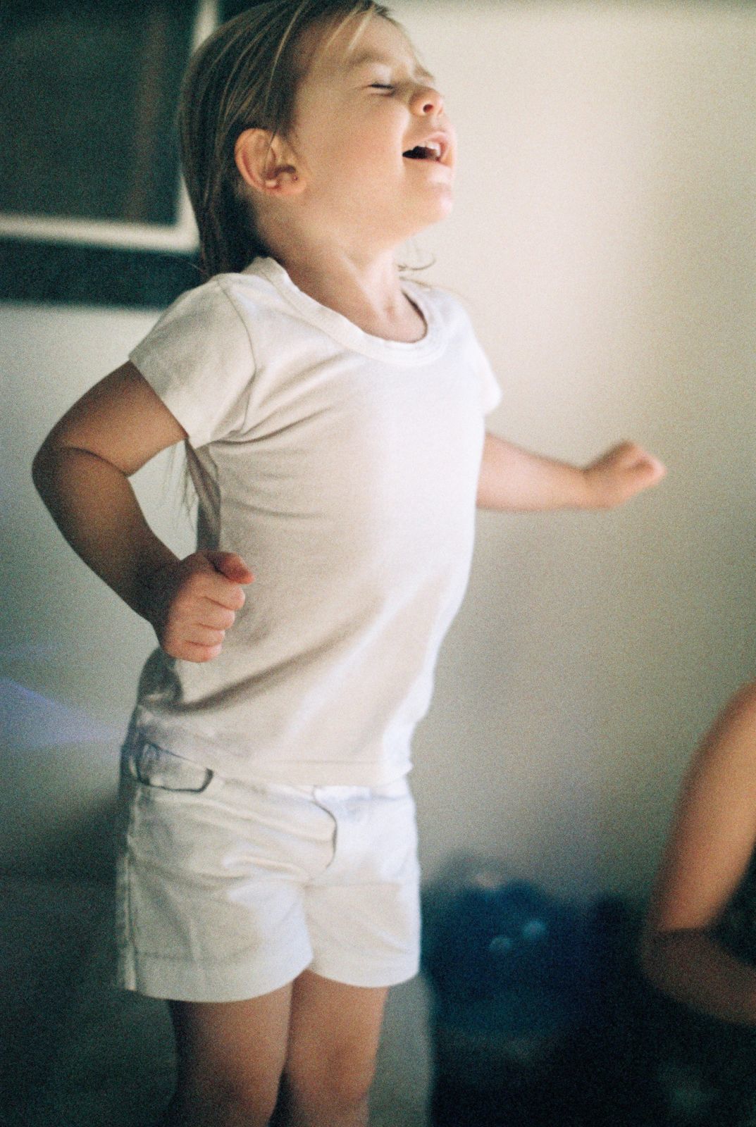 Foto Analogias da quarentena - Imagem 7