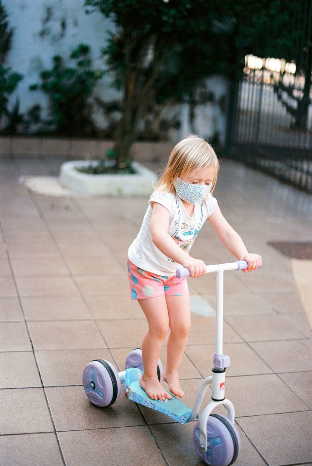 Foto Analogias da quarentena - Imagem 20