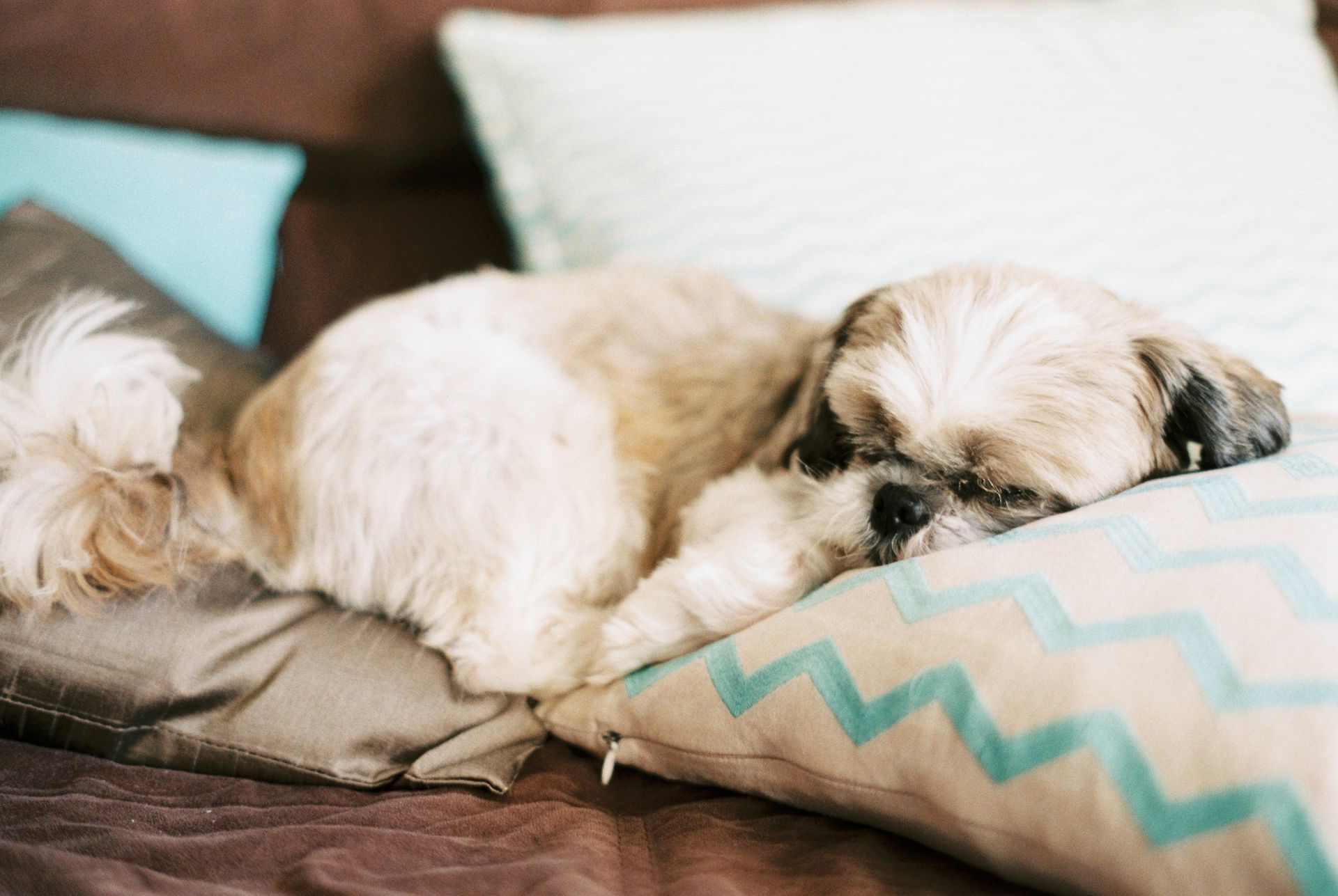 Foto Analogias da quarentena - Imagem 9