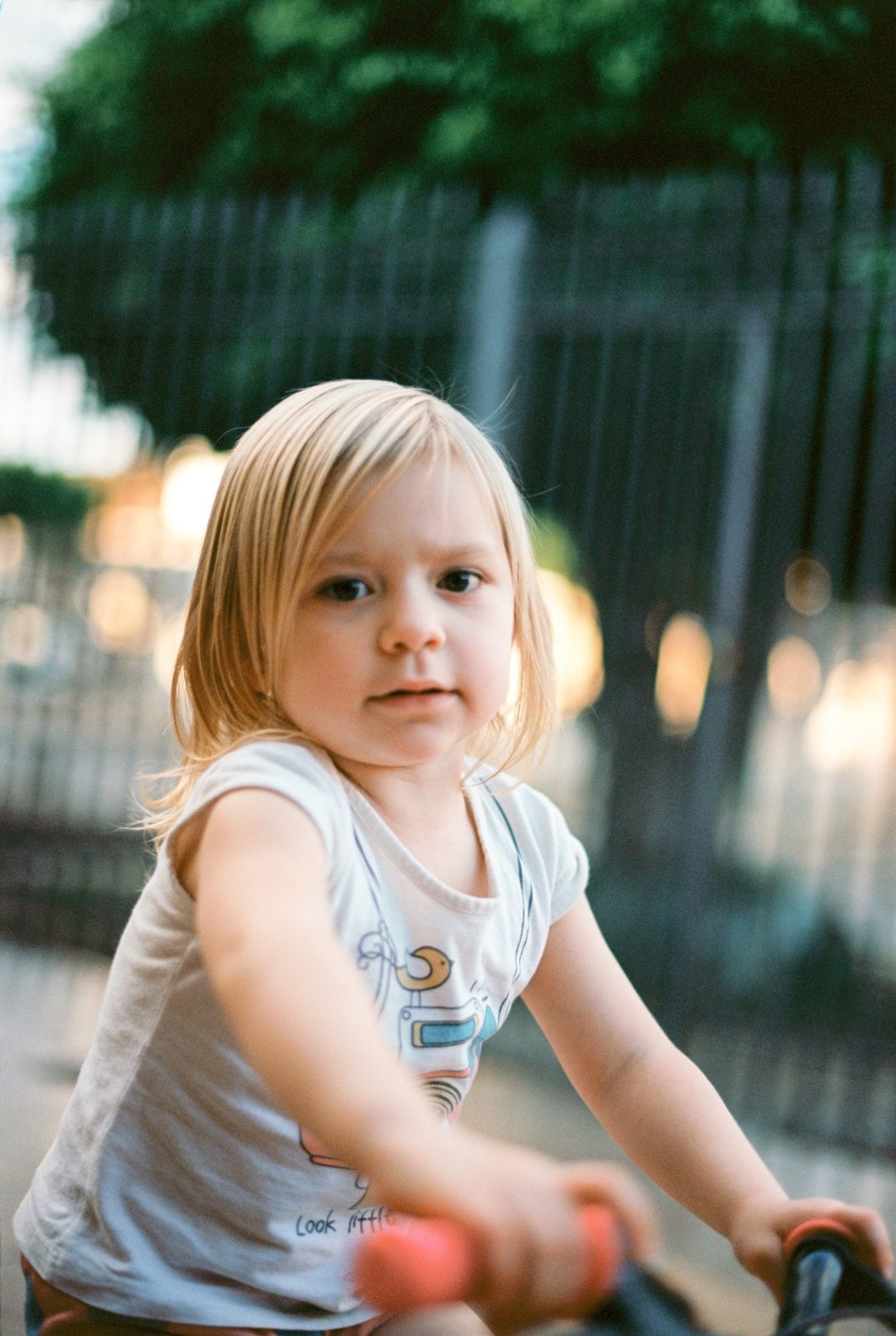 Foto Analogias da quarentena - Imagem 21