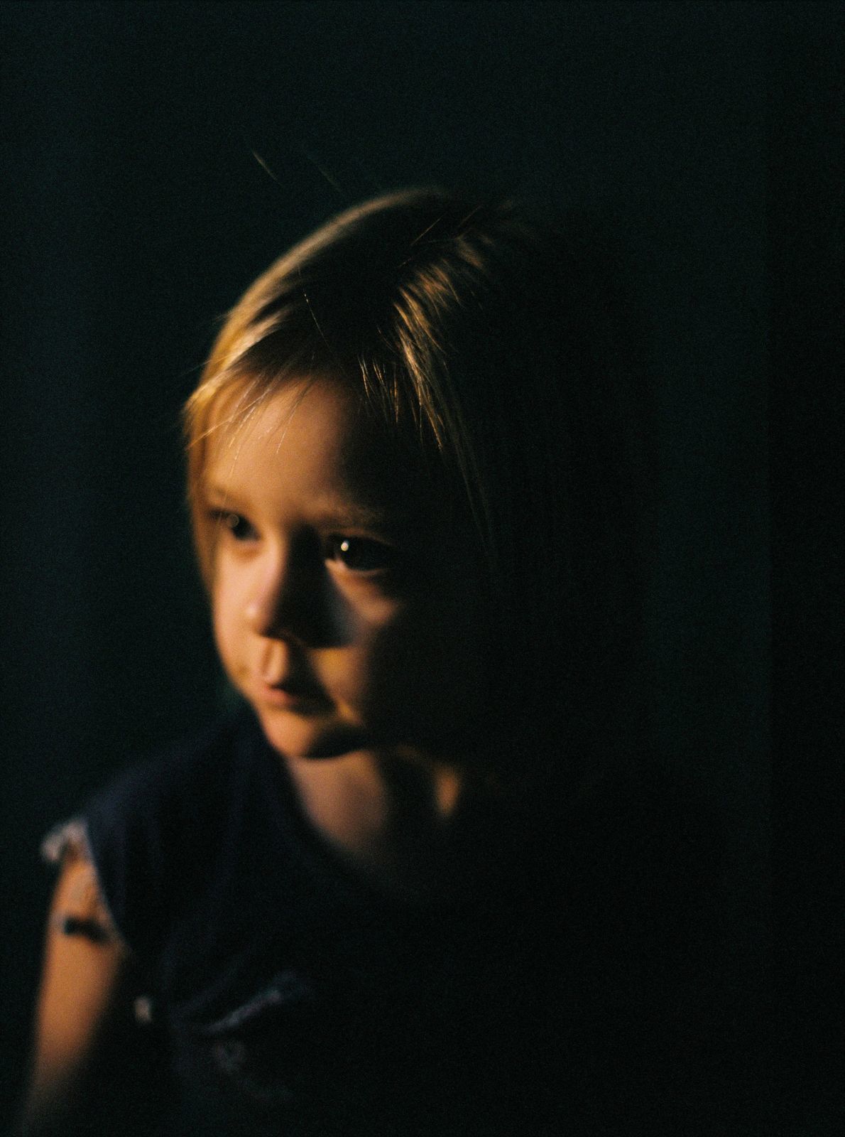 Foto Analogias da quarentena - Imagem 32