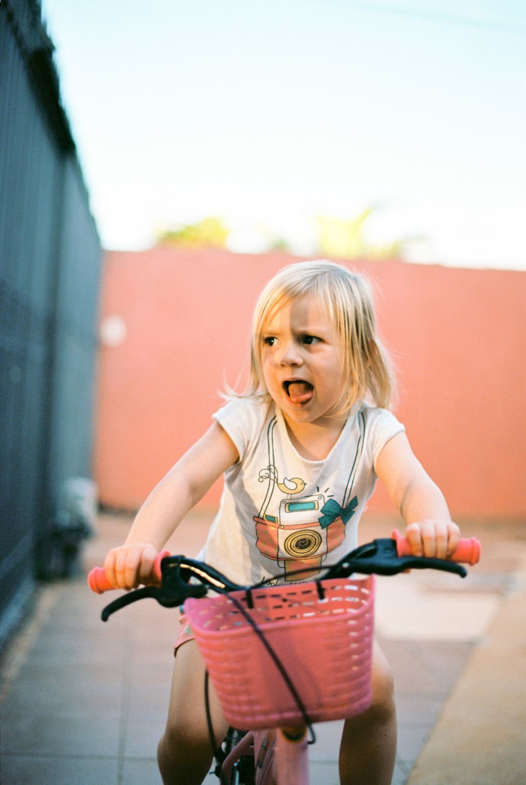 Foto Analogias da quarentena - Imagem 23