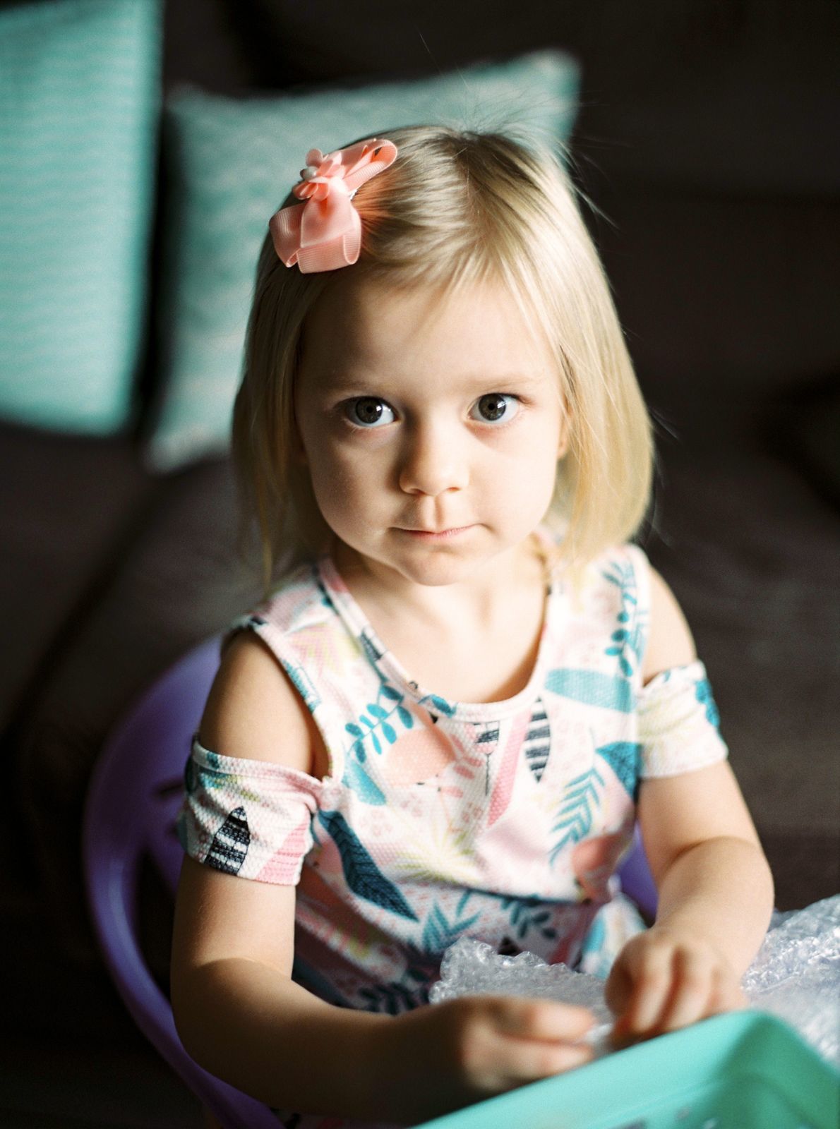 Foto Analogias da quarentena - Imagem 35