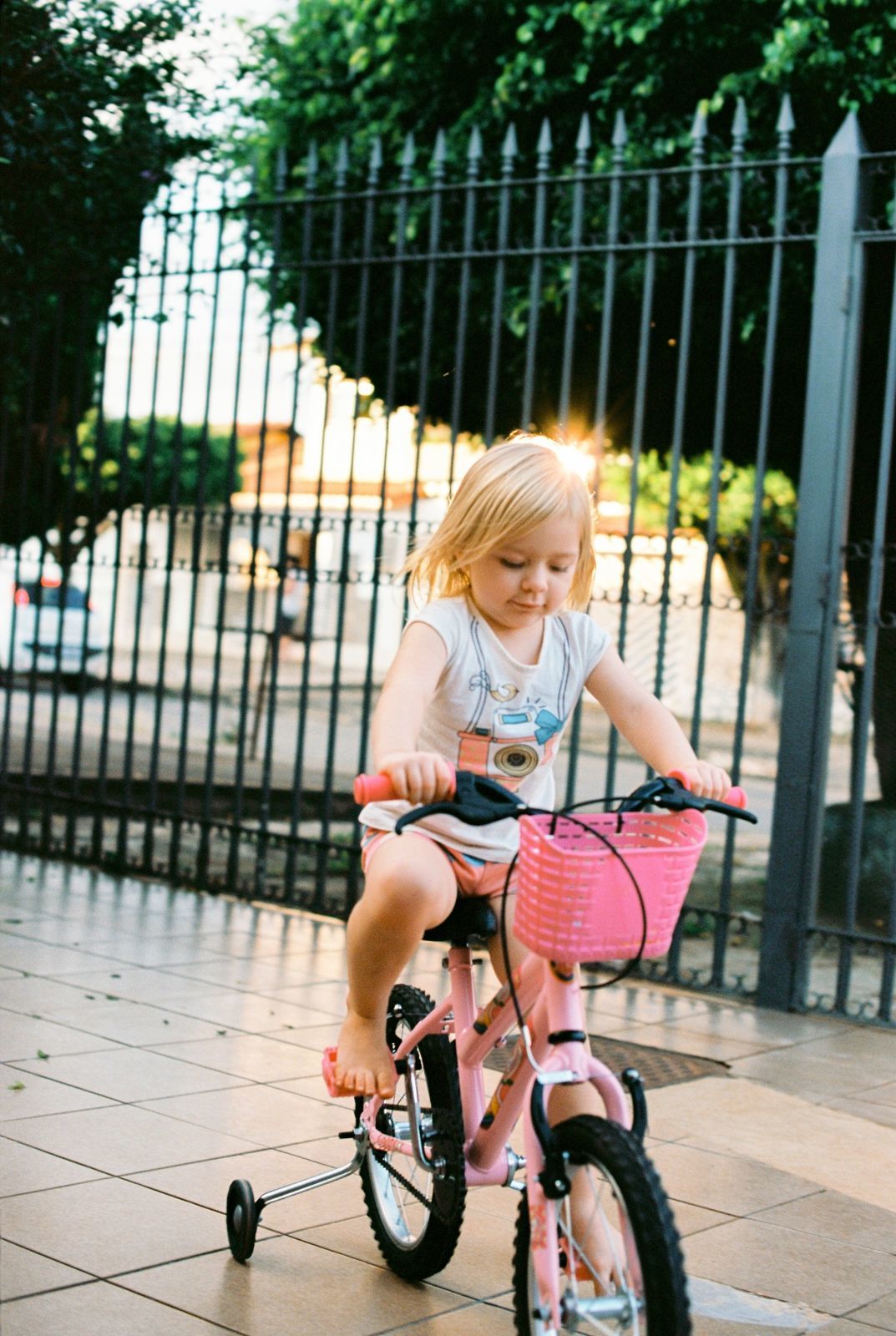 Foto Analogias da quarentena - Imagem 27