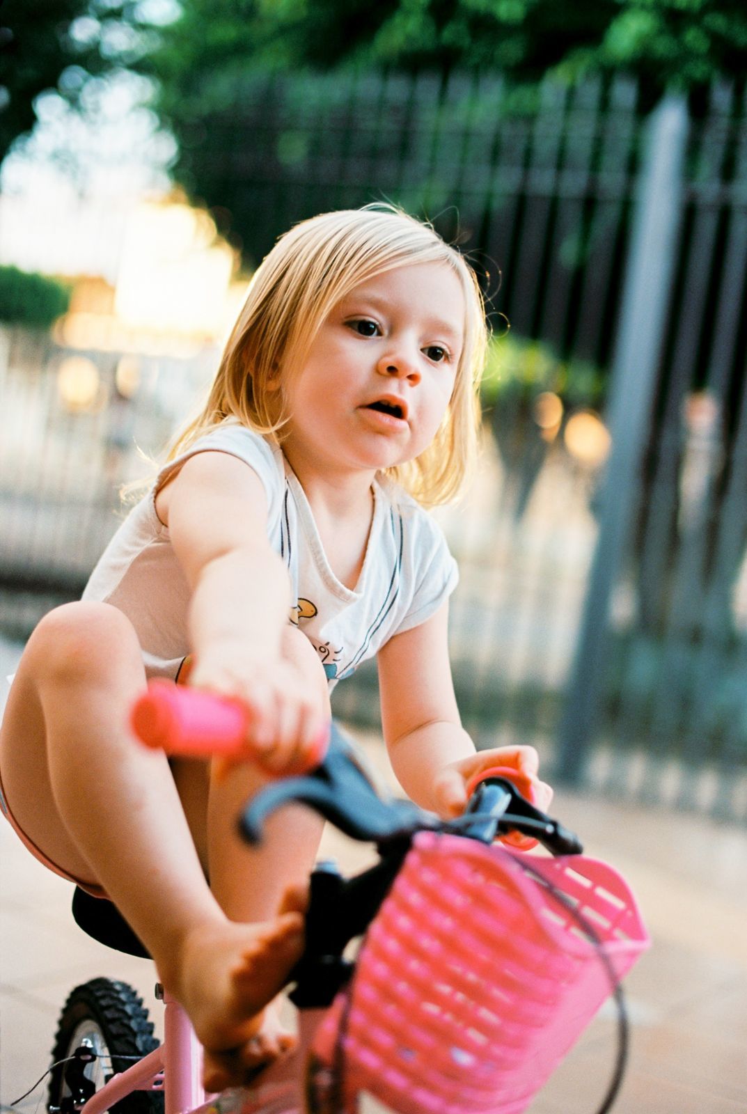 Foto Analogias da quarentena - Imagem 29