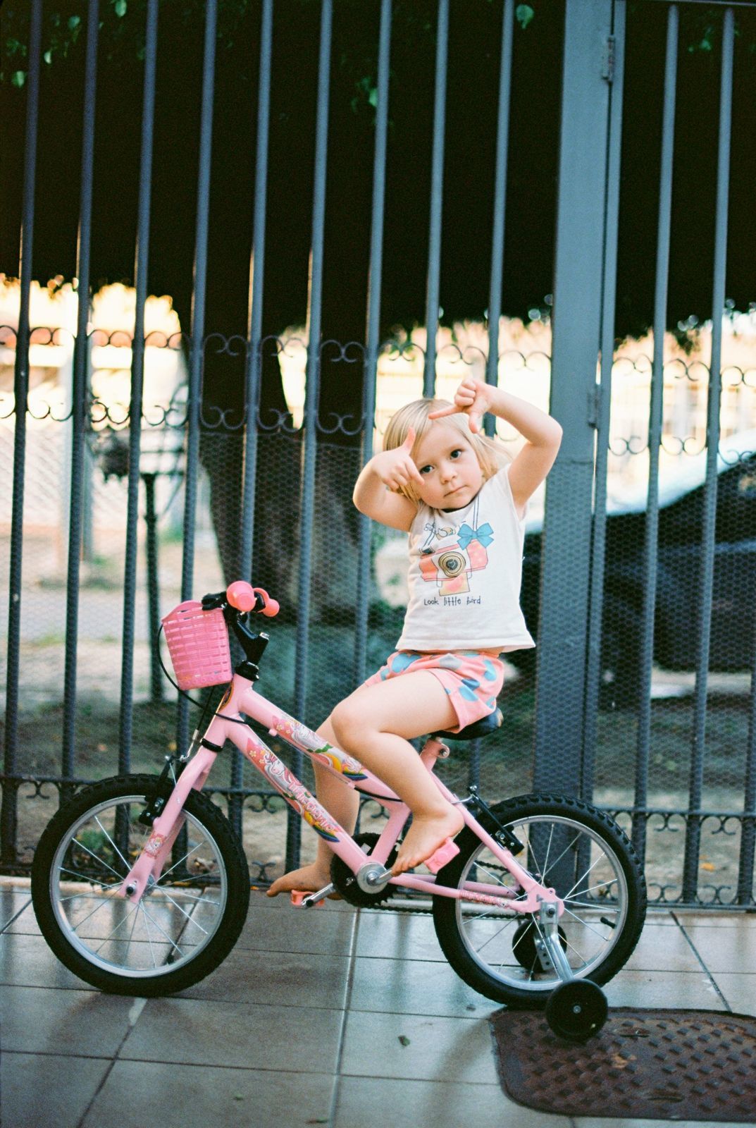 Foto Analogias da quarentena - Imagem 26