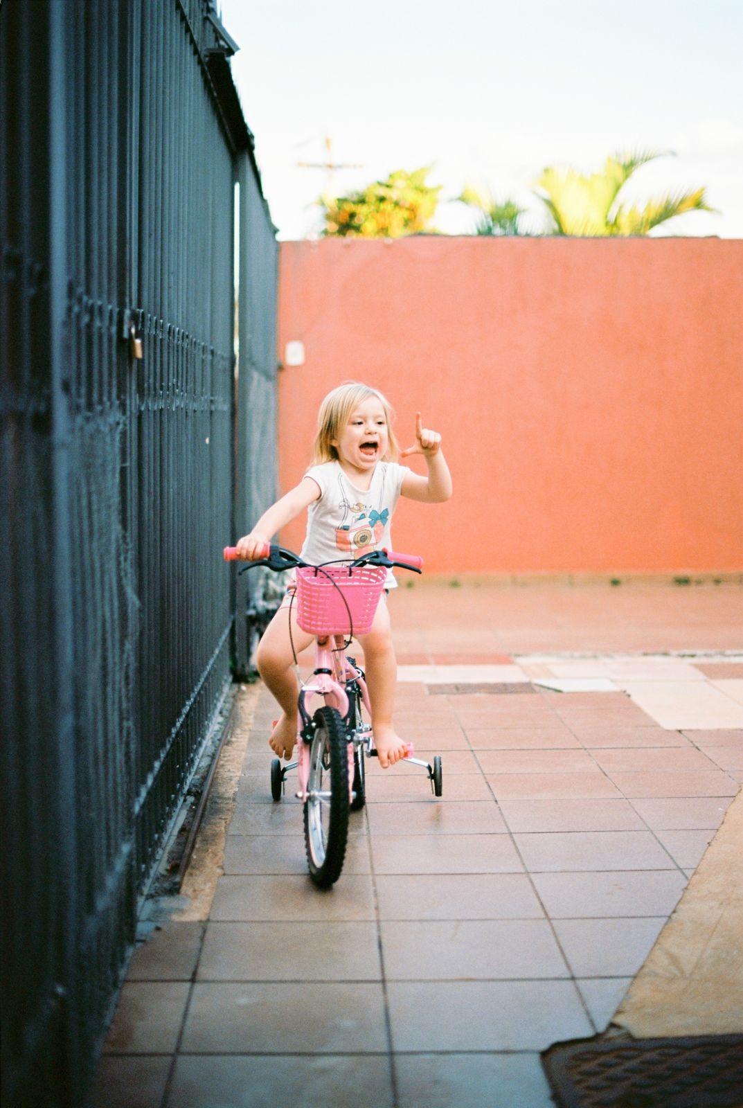 Foto Analogias da quarentena - Imagem 24