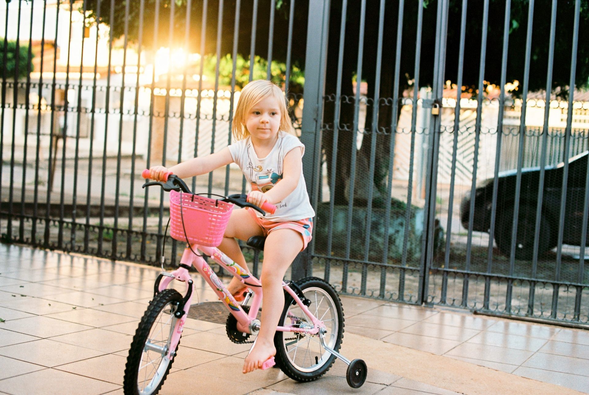 Foto Analogias da quarentena - Imagem 28