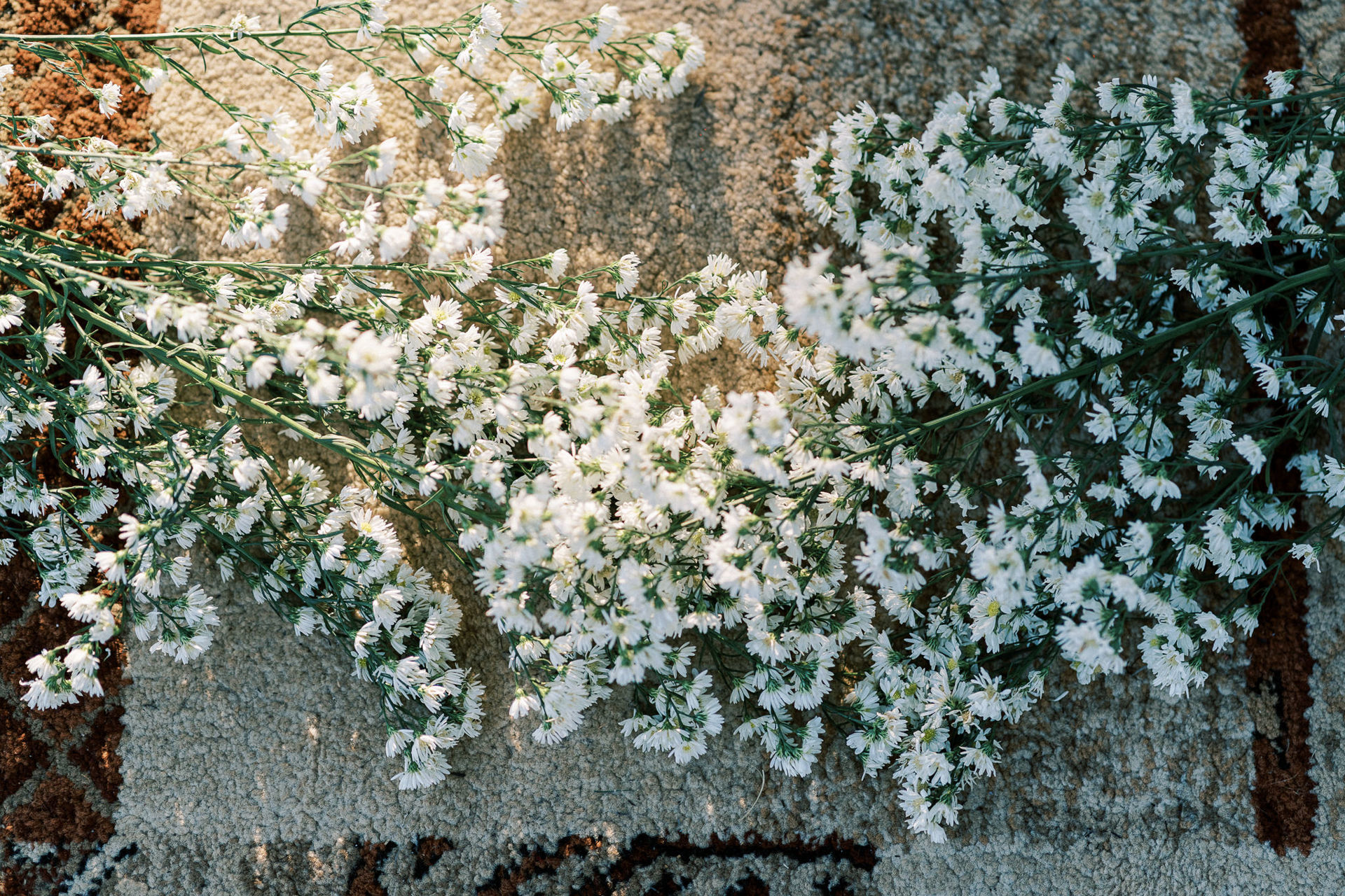 Foto Elopment Wedding | Izabella e Ruaro | Casamento em Brasília - Imagem 52