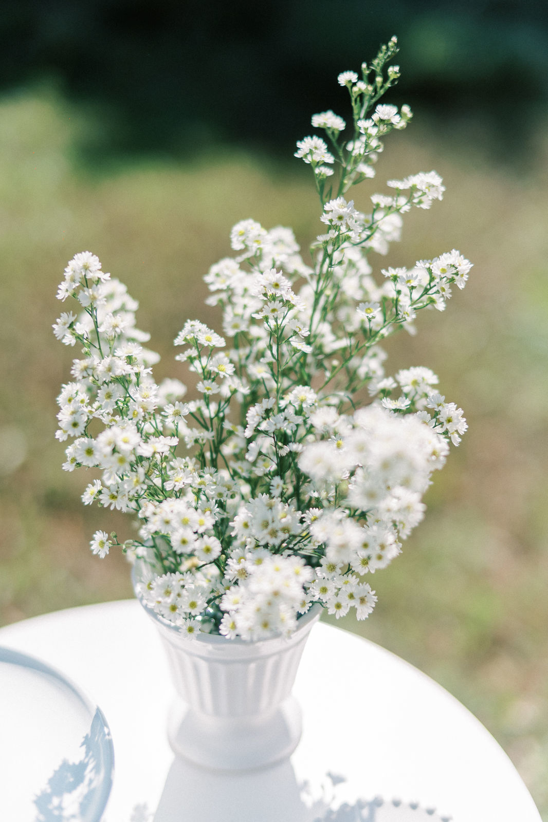 Foto Elopment Wedding | Izabella e Ruaro | Casamento em Brasília - Imagem 82