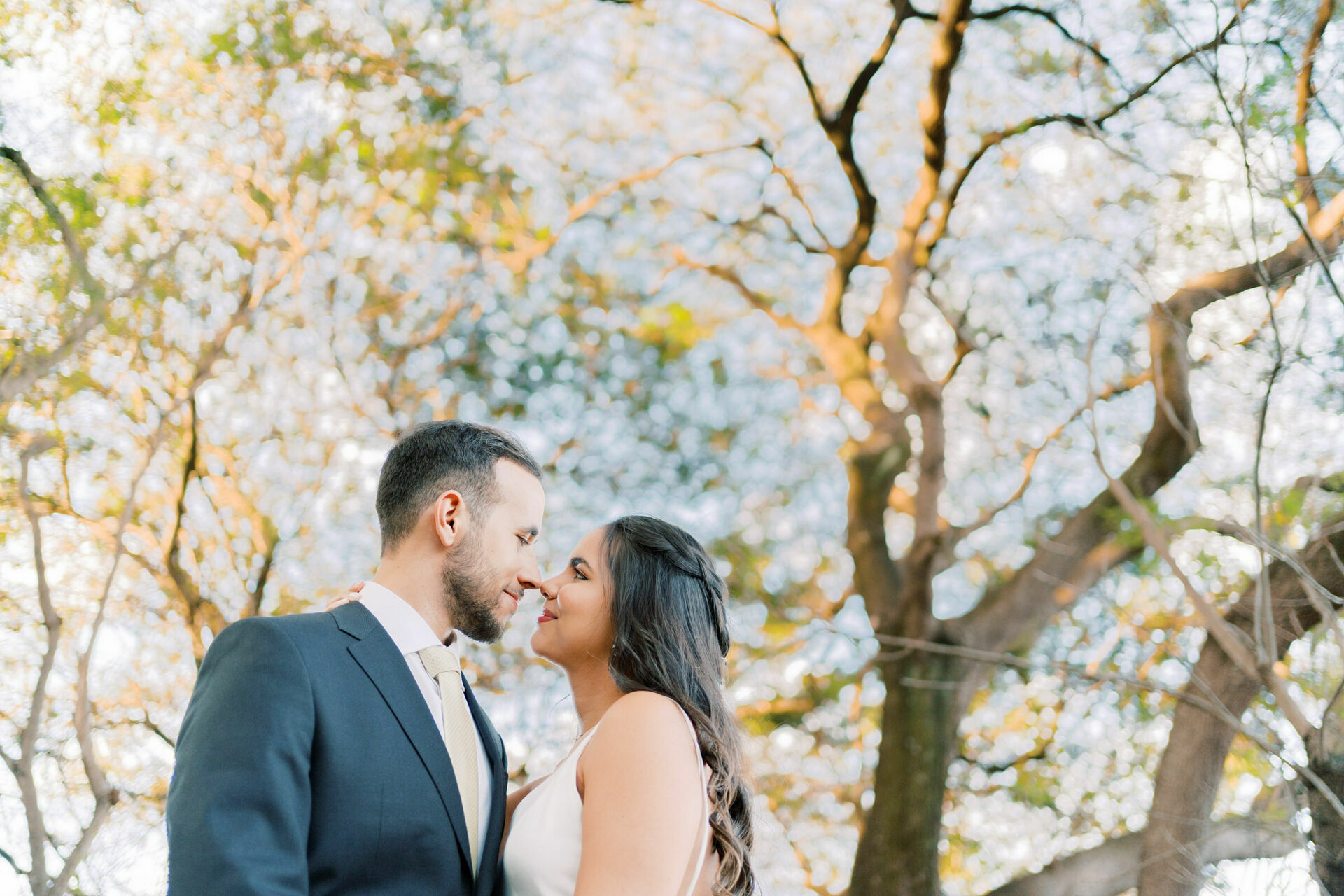 Foto Micro wedding | Erica e Pedro | Verona Foto Micro wedding | Erica e Pedro | Verona - Imagem 3
